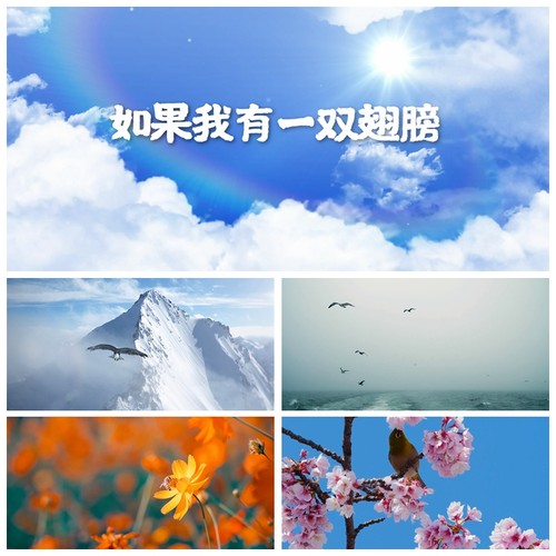 S3690《如果我有一双翅膀》励志 亲子朗诵演讲 LED背景 视频素材