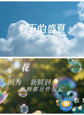 S5570《剩下的盛夏》伴唱和声伴奏+歌词 歌曲MV 大屏背景视频素材