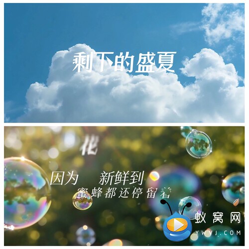 S5570《剩下的盛夏》伴唱和声伴奏+歌词 歌曲MV 大屏背景视频素材
