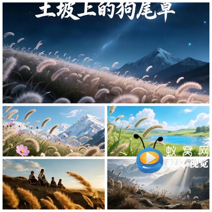 S6924《土坡上的狗尾巴草》伴奏 藏族歌曲MV 唯美背景视频素材