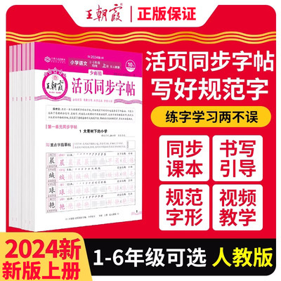 2024王朝霞活页同步字帖小学语文一二三四五六年级上册人教版小学123456年级语文活页字帖课时练写字练字课课练课堂同步楷书字帖本