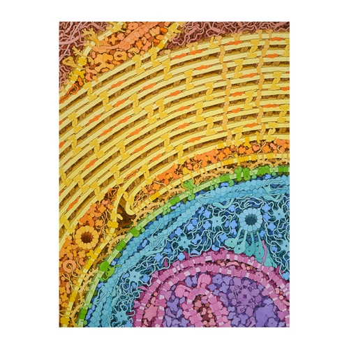 Ученый -арт -ученый нейронов Дэвид Гудесер нейрон -клеточный акварель инопланетянин головоломка