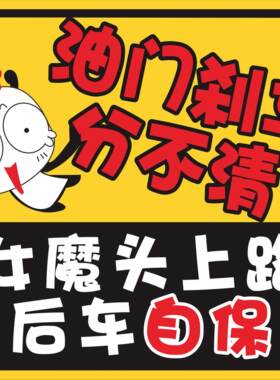 实习女司机贴纸 新手上路 油门刹车分不清女魔头上路后车自保车贴