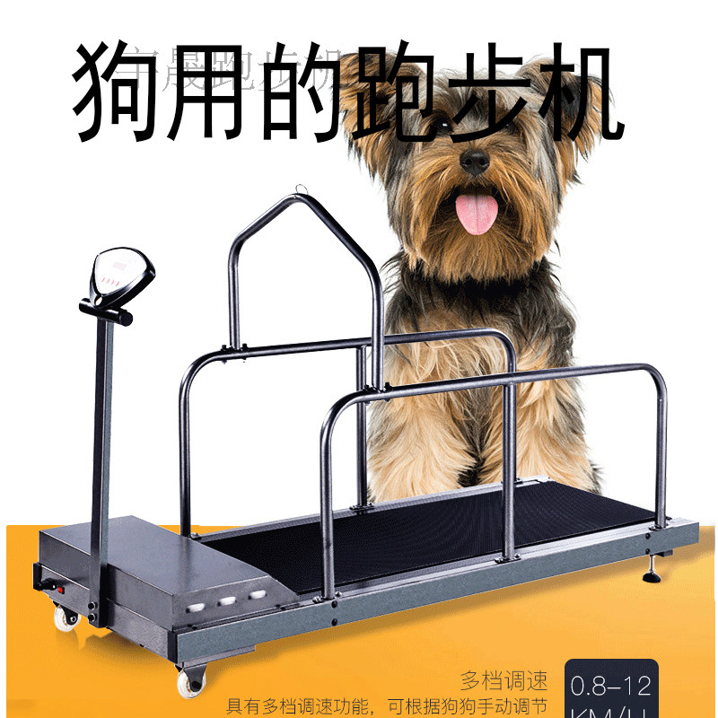 小狗子跑步机宠物运动减肥瘦身机猫狗牛羊猪用的跑步狗子跑步|ruв категории движение/йога/фитнес/фанаты товаров, беговая дорожка/крупных фитнес - оборудования, беговая дорожка - от Buy2taobao.com для оказания профессиональной услуги покупки агента Taobao