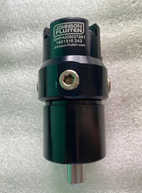 GHPA009027981 意大利JOHNSON FLUIT