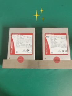 HORIBA CRITERION D519MG 流量计系列
