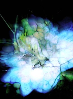 TouchDesigner源文件 视频图片流体化 可任意替换视频或图片 酸性