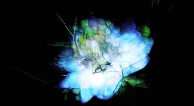 TouchDesigner源文件 视频图片流体化 可任意替换视频或图片 酸性