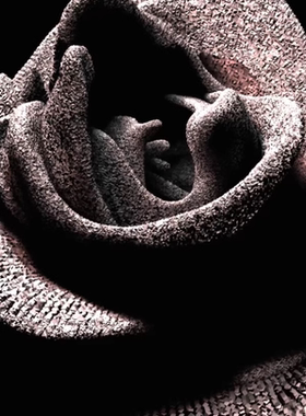 TouchDesigner源文件 超高质感粒子花 原创 多状态 自由修改