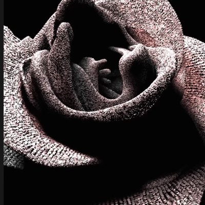 TouchDesigner源文件 超高质感粒子花 原创 多状态 自由修改