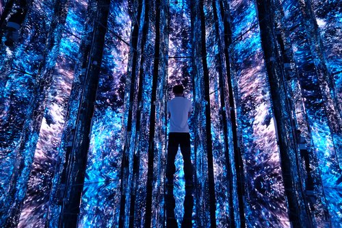 TD新媒体艺术小店支持touchdesigner，unity，等交互软件制作。