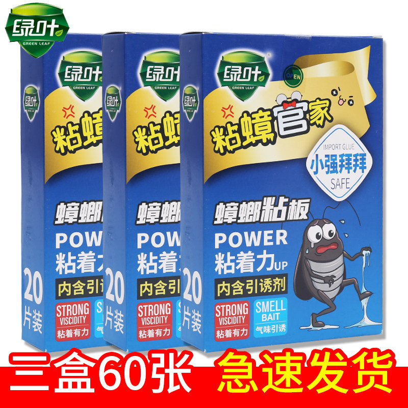 60套绿叶蟑螂贴蟑螂粘板杀除灭胶诱饵料便利捕诱捕器药粉饵剂环保