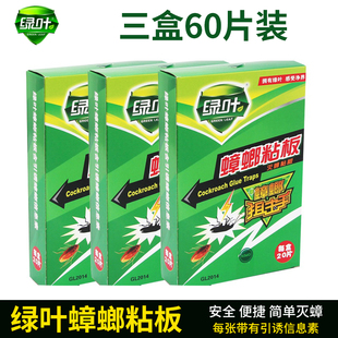 60张绿叶家用灭蟑板药蟑螂粘板杀灭蟑螂贴蟑螂屋粘捕板蟑螂贴 包邮