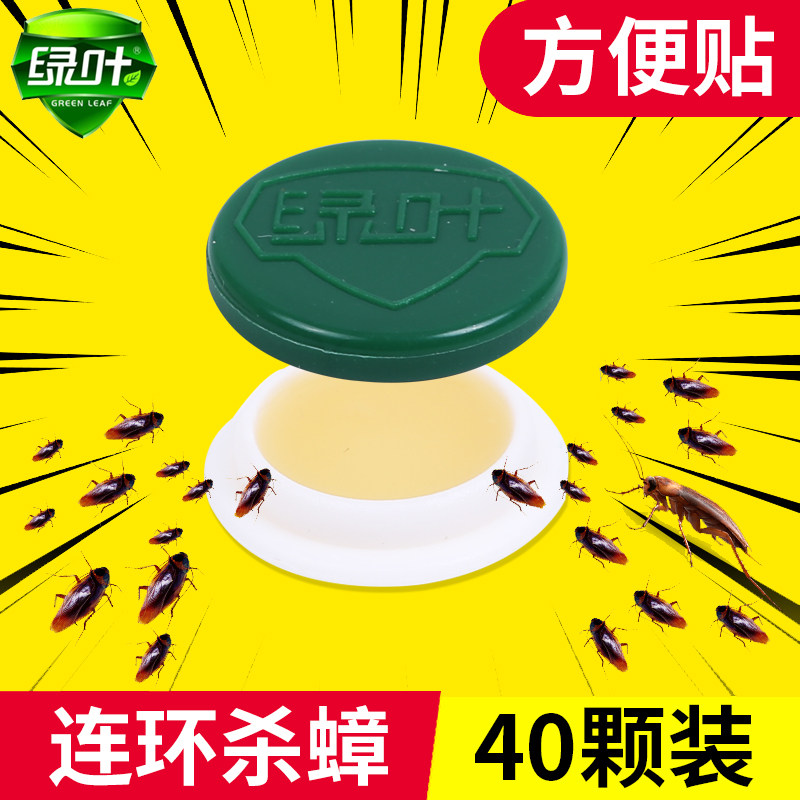 绿叶蟑螂药杀蟑方便贴胶饵药蟑螂屋灭蟑螂灭蟑清杀蟑螂捕捉丸40颗