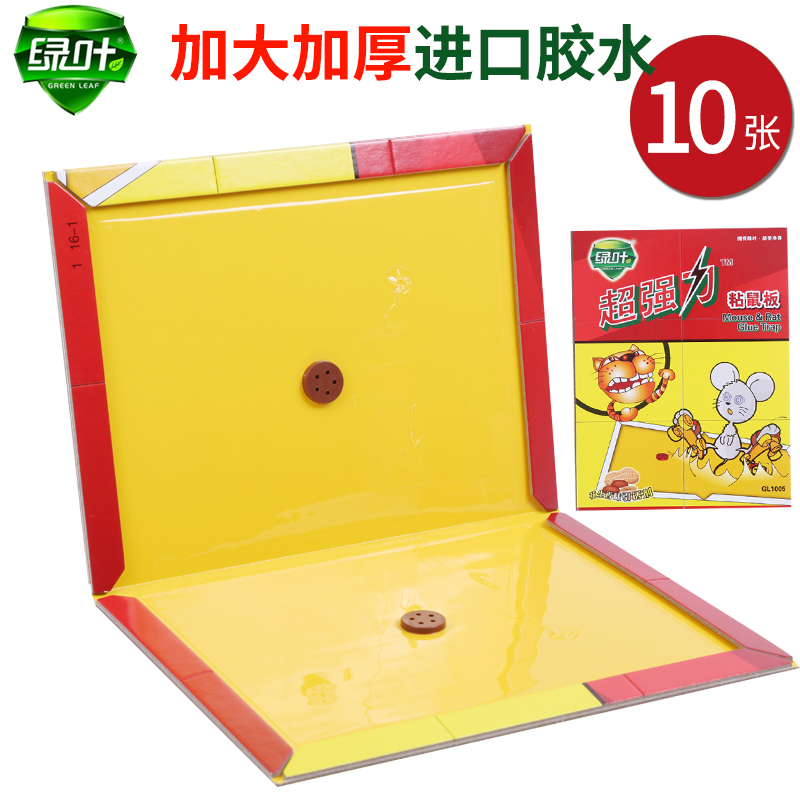 10张装绿叶强力粘鼠板加厚