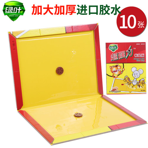 10张装绿叶强力粘鼠板加厚