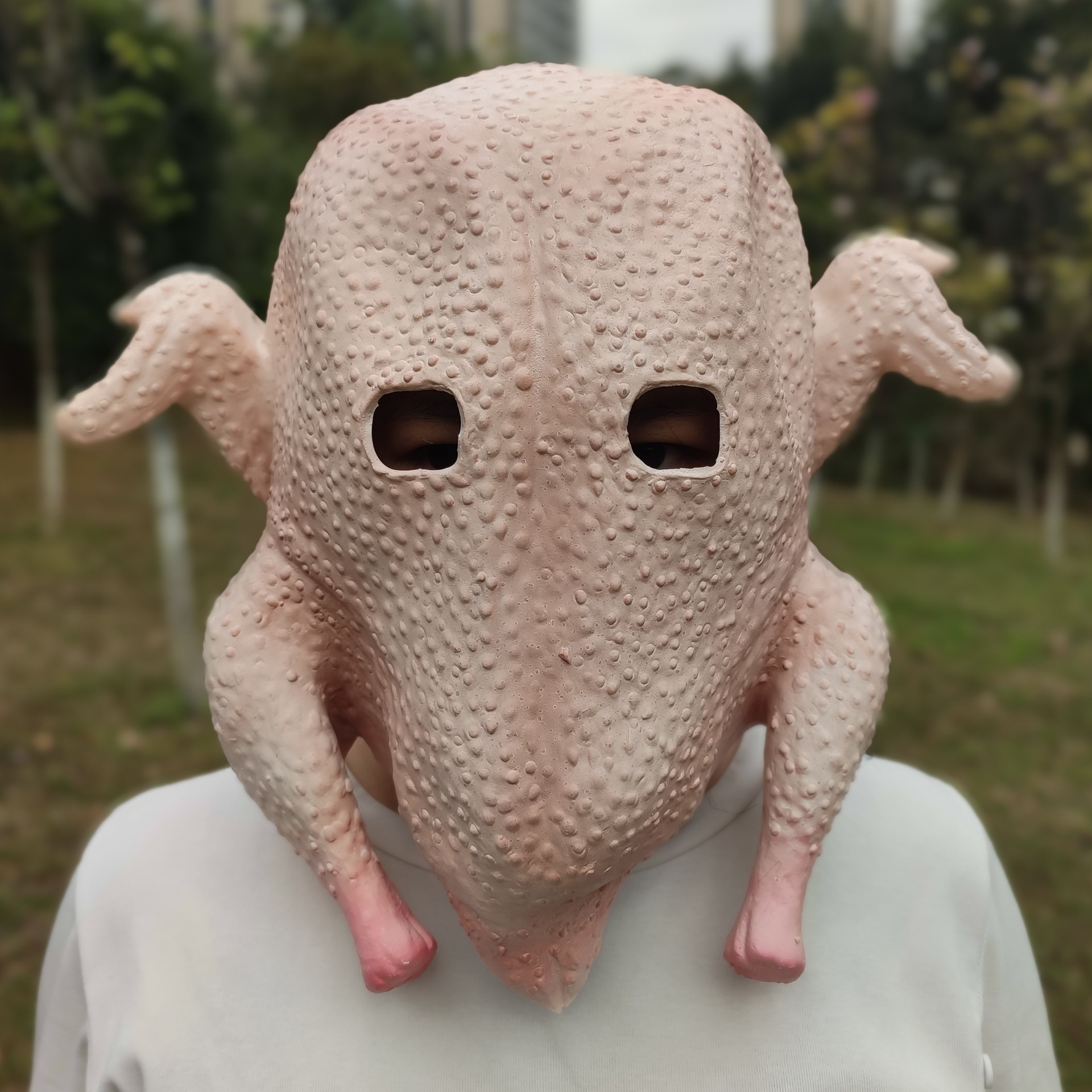 万圣节节假日搞笑鸡肉火鸡烤鸡