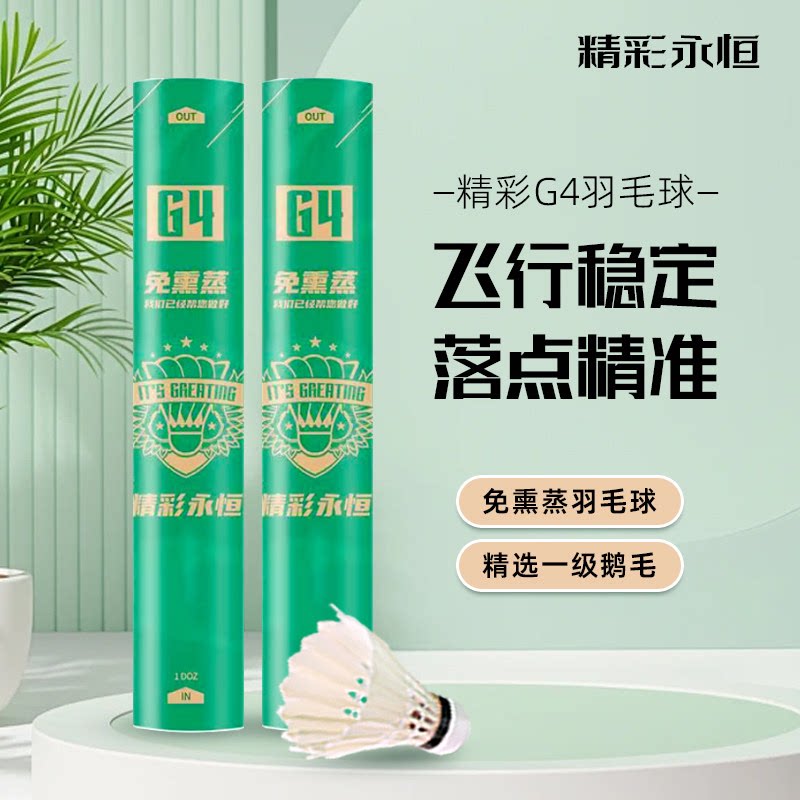 精彩永恒G4，鹅毛大圆