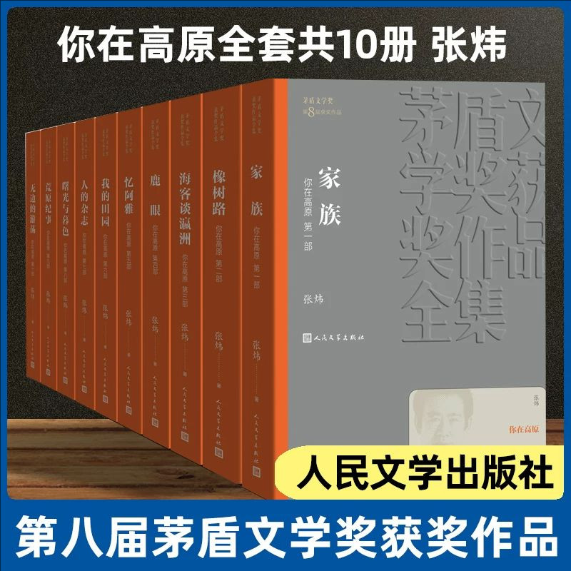 你在高原全10册正版张炜