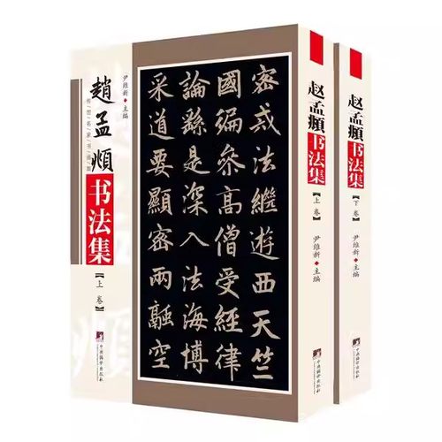 现货正版赵孟頫书法集全2册