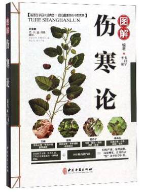 包邮正版  图解伤寒论 中医古籍 韦桂宁,李敏  医学 中医