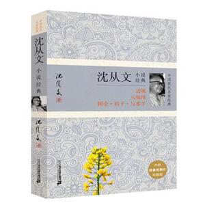 包邮正版  沈从文小说经典 二十一世纪出版社  小说 作品集