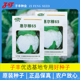 【春秋两用】惠尔稼65天散花小米粒青梗松花菜种子10克花椰菜种籽