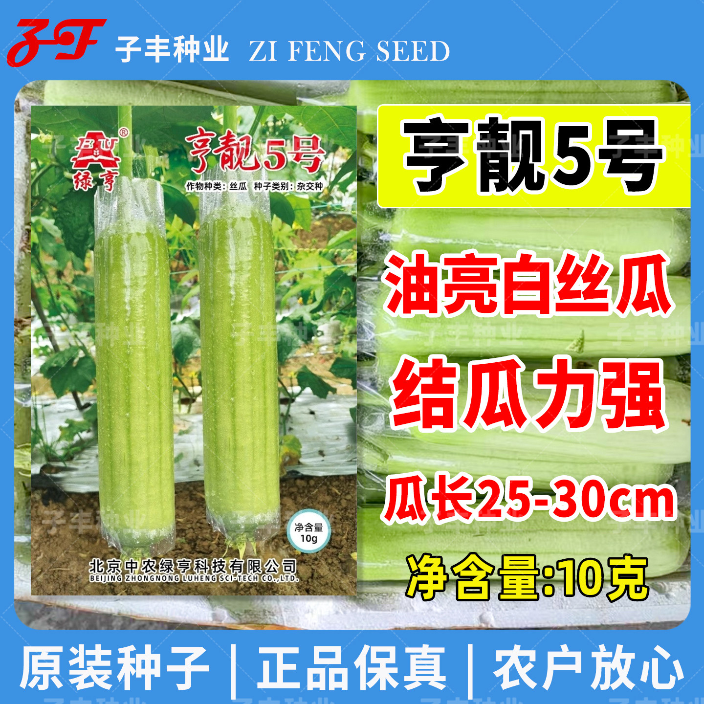 【10克】亨靓5号白玉丝瓜种子白皮果肉清甜牛奶丝瓜种籽春季四季
