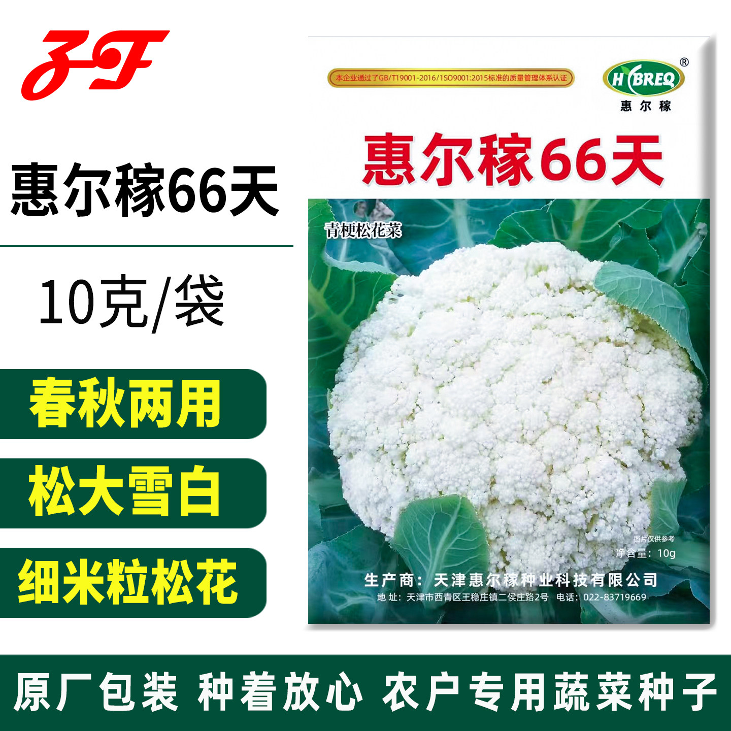 【细米粒松花】惠尔稼66天青梗松花菜种子春秋散花菜花花椰菜种籽