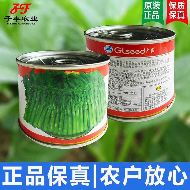 广良杂交菜心种子喜兰尖叶广东甜菜心种籽春季夏季秋季绿菜苔蔬菜