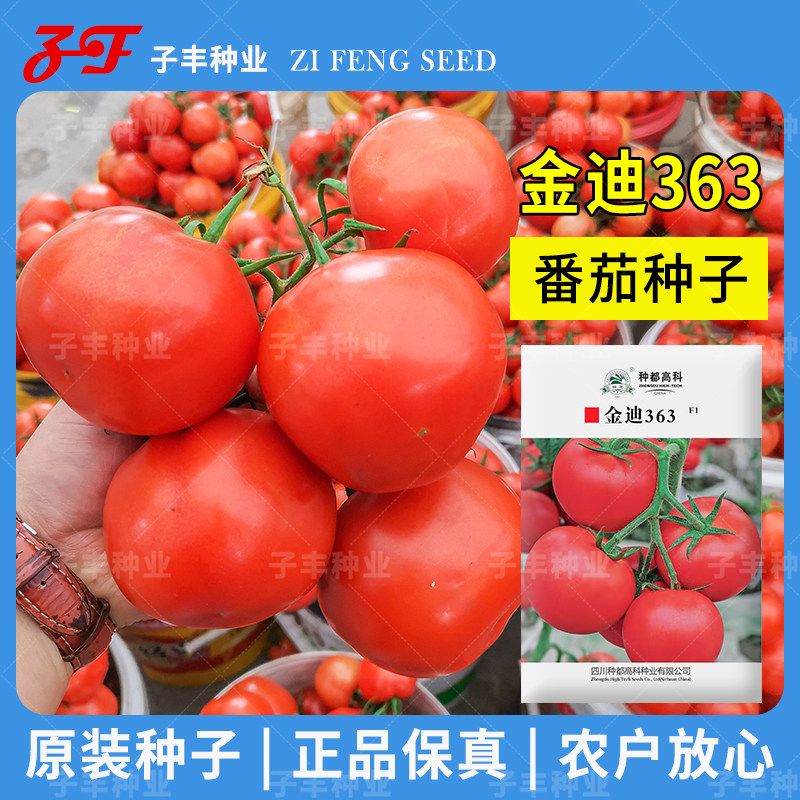 种都大红果番茄种子耐裂病害少