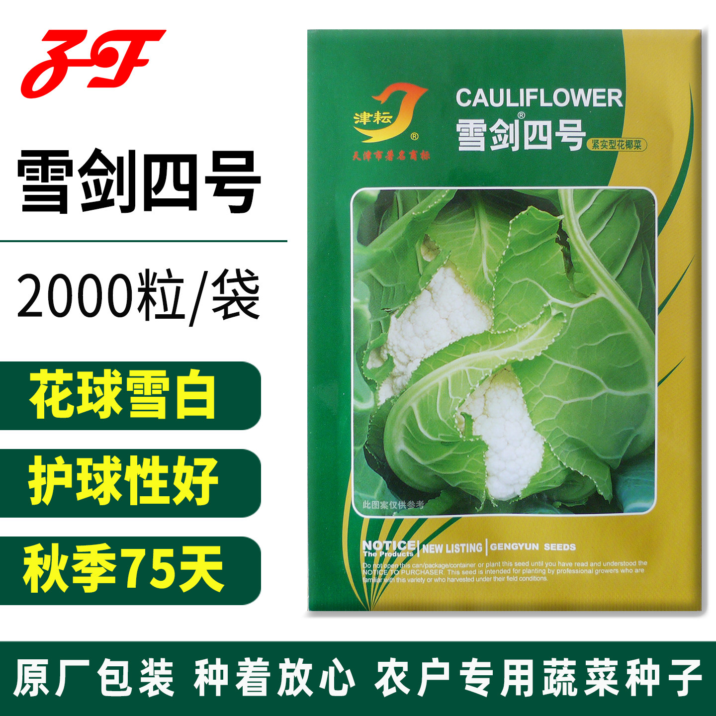 秋季中熟75天紧花菜种子雪剑四号不用盖球花球洁白硬花实花菜种籽