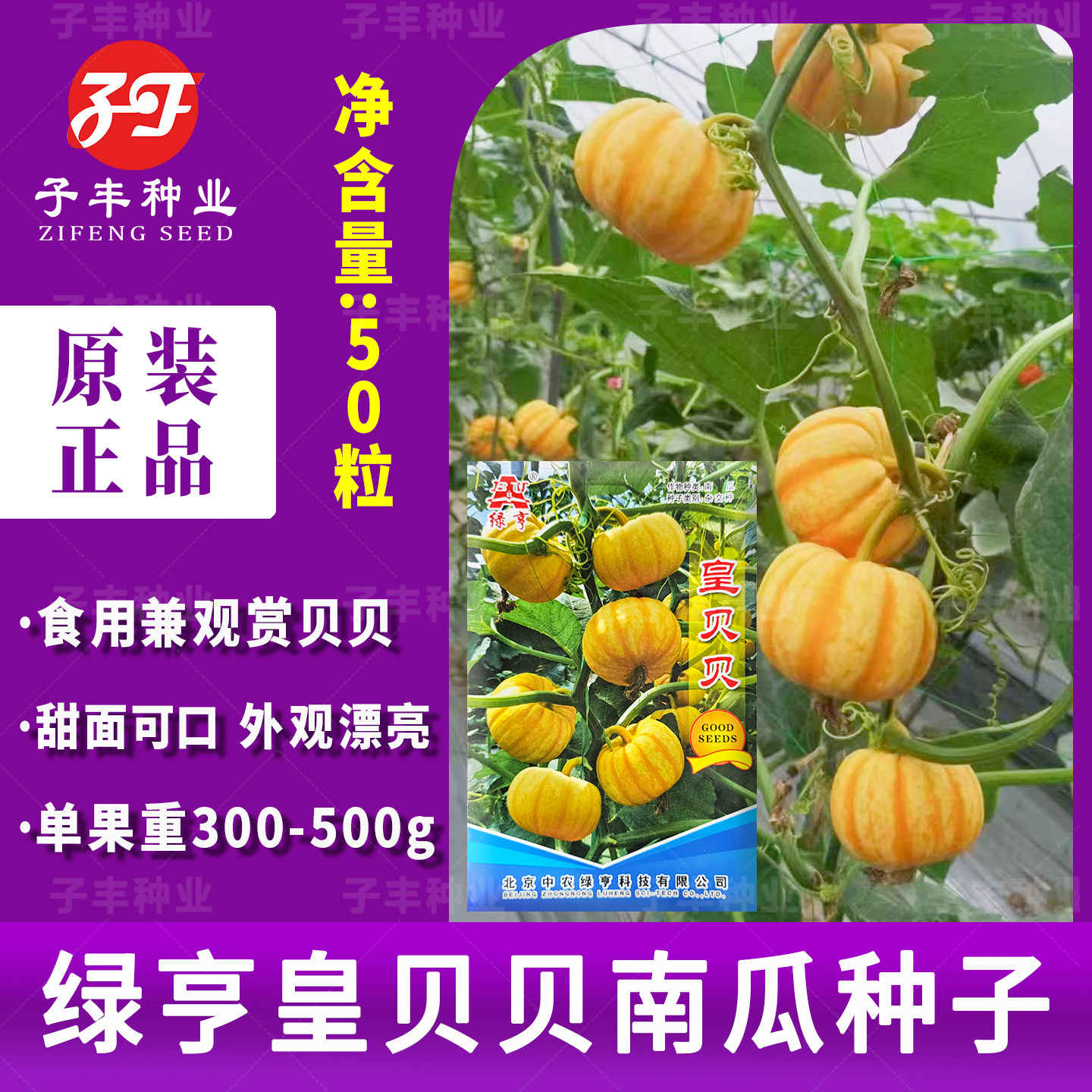 【中农绿亨】皇贝贝南瓜种子50粒特色礼品迷你小南瓜种籽甜面好吃