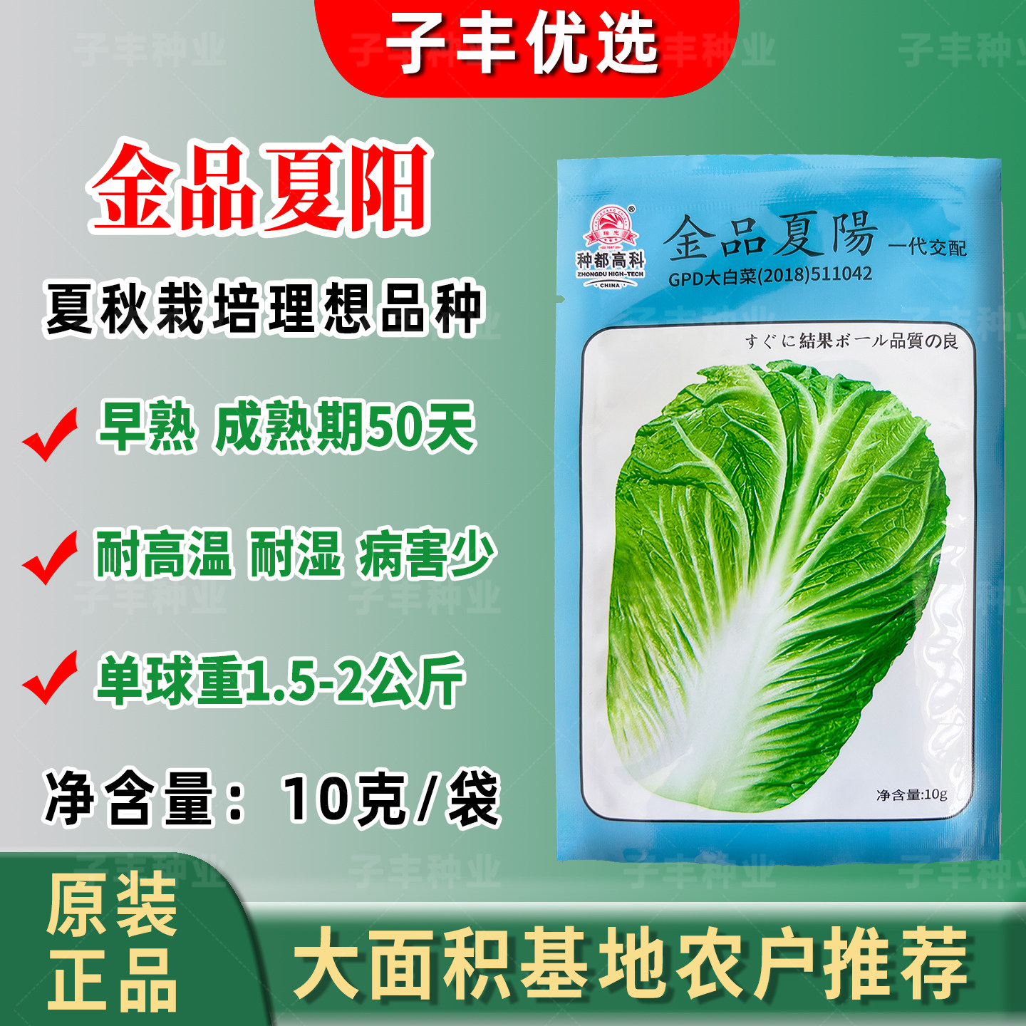 老品种金品夏阳白菜籽夏季耐热耐高温耐湿早熟秋季50天大白菜种子