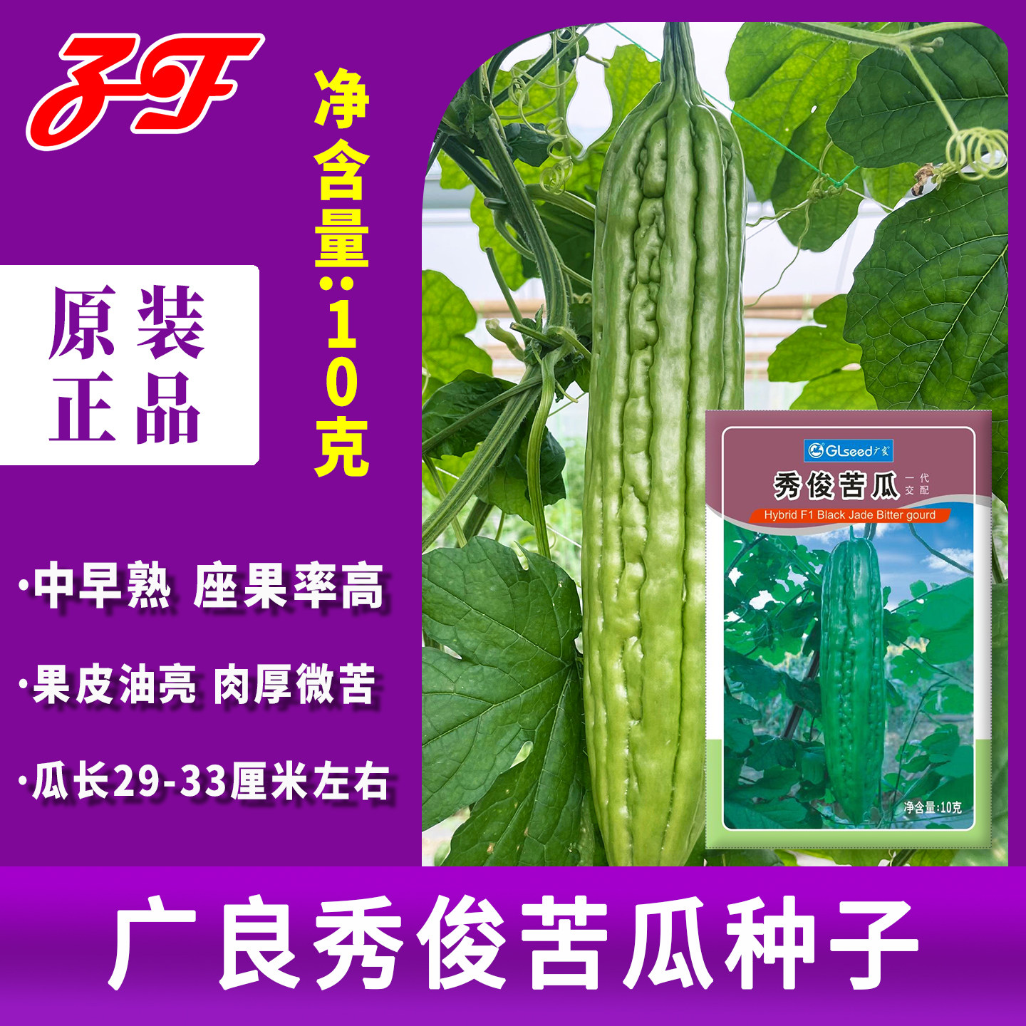广东广良秀俊苦瓜种子春季秋季中早熟油身大肉苦瓜籽肉厚凉瓜种子