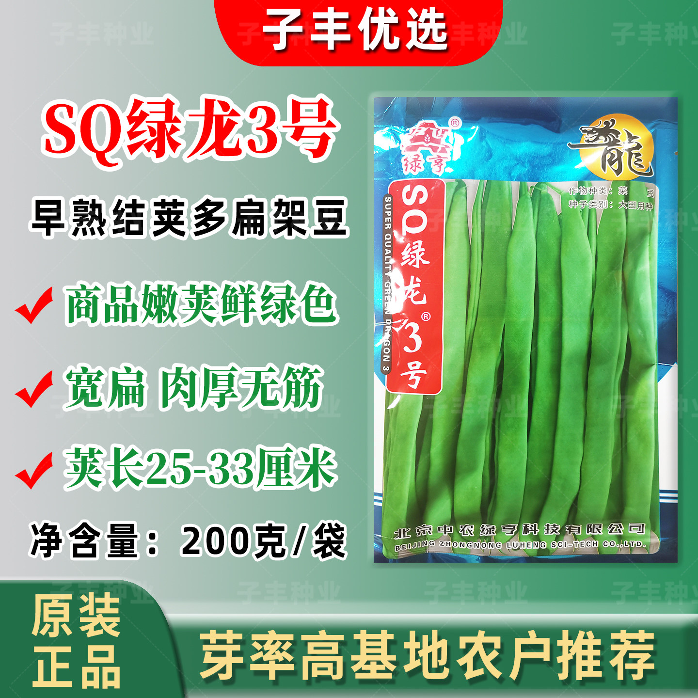 肉厚无筋四季架豆扁豆种子图片