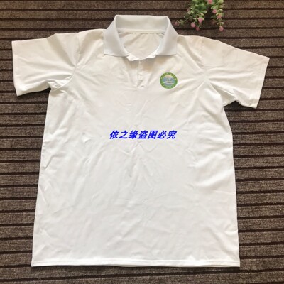 夏巴高级中学夏季纯棉短袖T恤POIO衫白色可加校徽可定制班服校服