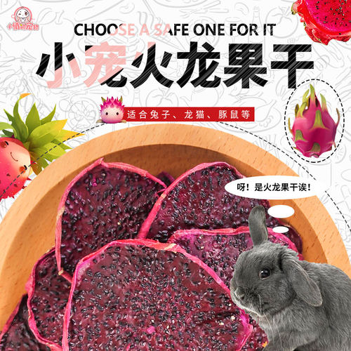 龙猫豚鼠宠物兔荷兰猪零食