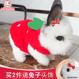 兔子衣服秋冬幼兔背心兔兔衣服保暖垂耳兔子用品侏儒兔宠物兔可爱
