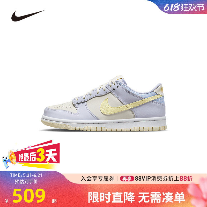 NIKE童鞋儿童板鞋男女童休闲运动鞋COUNT中大童鞋子潮FJ4641-536