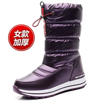 G70-Purple