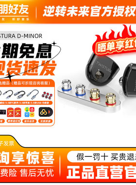 Twistura逆转未来 D-MINOR D小调 入耳式耳机可换线HiFi发烧耳塞