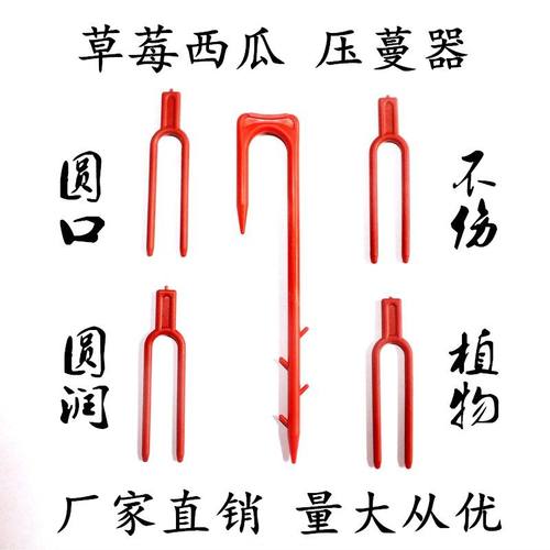草莓叉子甜瓜西瓜育苗压蔓器压苗叉藤蔓植物固定器压蔓生根滴灌叉