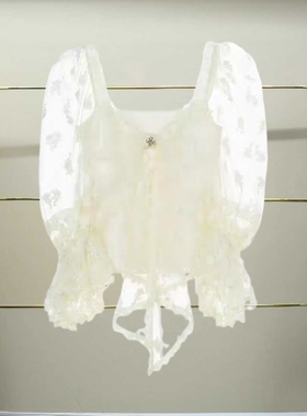 肆正品 25夏网纱绣花针织上衣LF25X61ZB454-250h