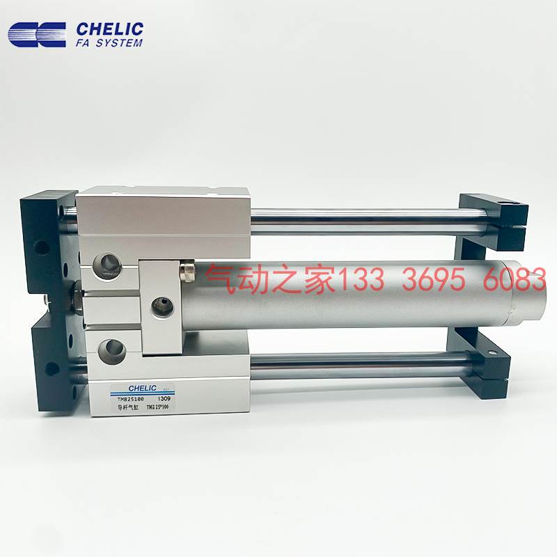 TMU TMB导杆气缸TMB30X25 50 75 100 125 150 200 250 300-SA2