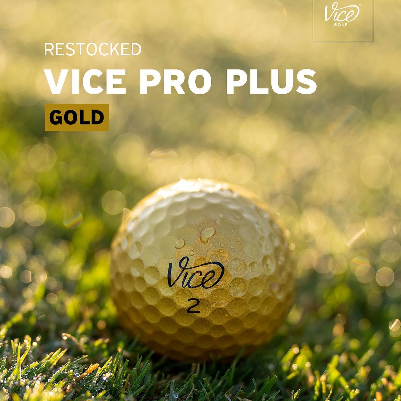 Vice Golf 限量版 Pro Plus 高尔夫球四层110+专业远距离球12个装