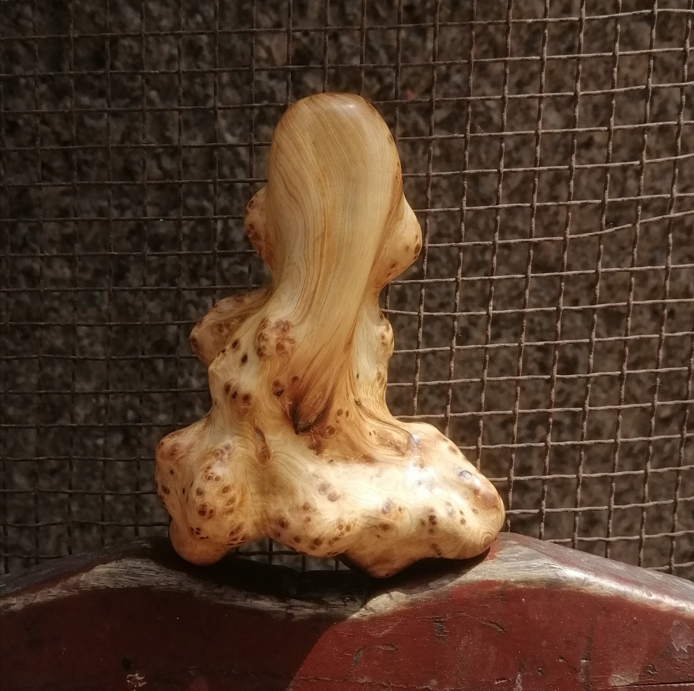 守一孤品《百财》崖柏白菜手把件瘤花纯手工随型百财文玩把玩件