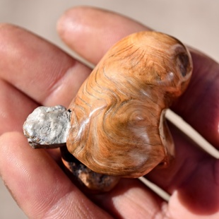 崖柏抱石小手把件掌中宝天然纹理小坨子木质玩具口袋解压文玩收藏