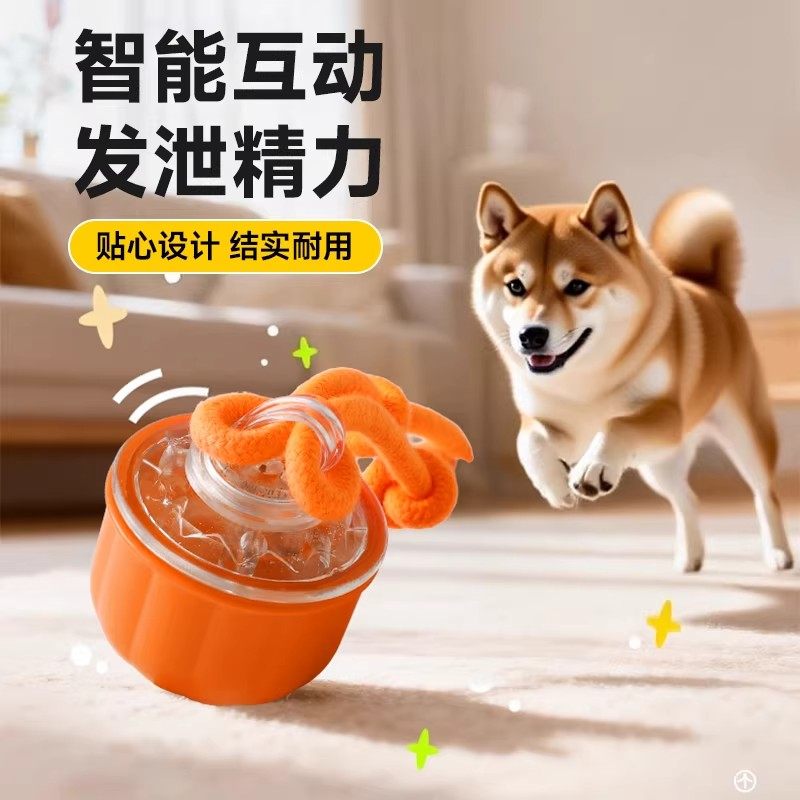 智能宠物玩具互动发泄精力狗狗玩具橙色塑料结实耐用自嗨玩具,宠物/宠物食品及用品,宠物智能玩具,淘宝优惠券,粉丝福利购,淘宝优惠卷
