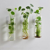 水培圆柱植物容器家居墙面装 壁挂亚克力花瓶挂墙上 饰挂件创意欧式